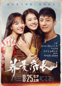 高清中文字幕视频在线播